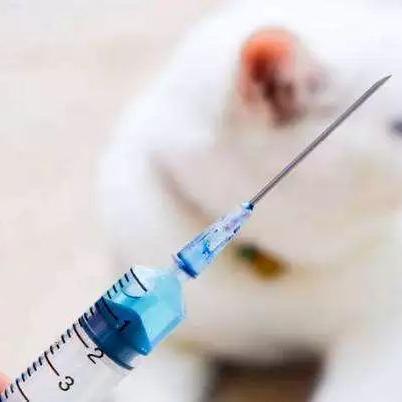 哈尔滨市狂犬疫苗多少钱