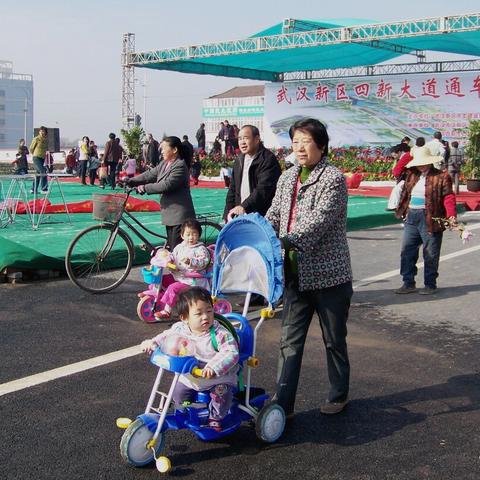 武汉市四新有些什么规划