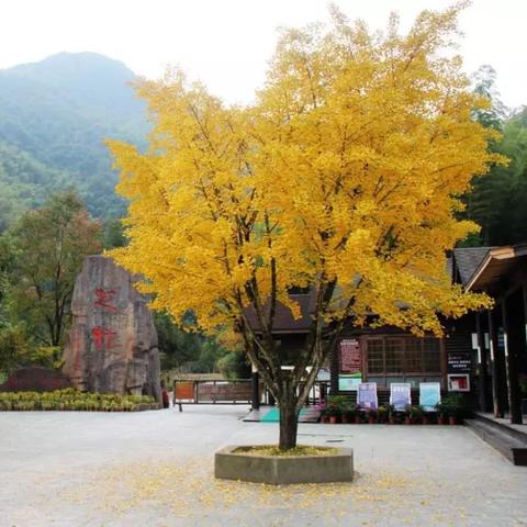 宁波市哪个地方最宜居