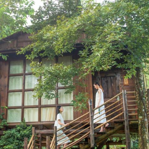 温州市亲子民宿哪里好