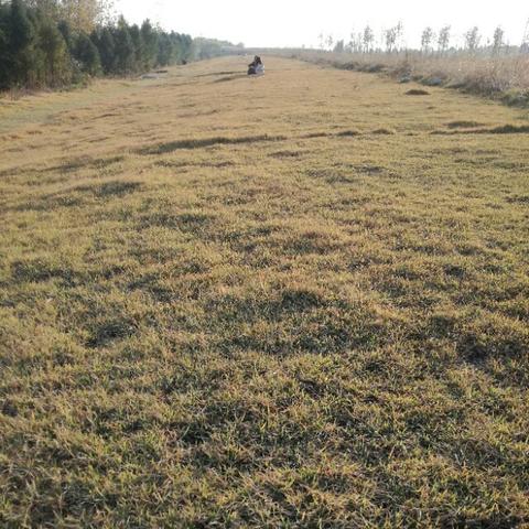 合肥岸上草原怎么收费相关长尾关键词有哪些