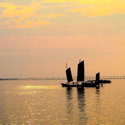 重庆家悠悠装饰怎么样