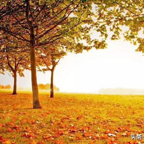 24清水天气的长尾关键词有哪些