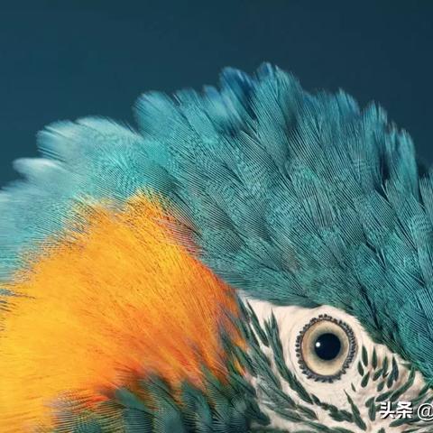 电影金刚1的长尾关键词是什么