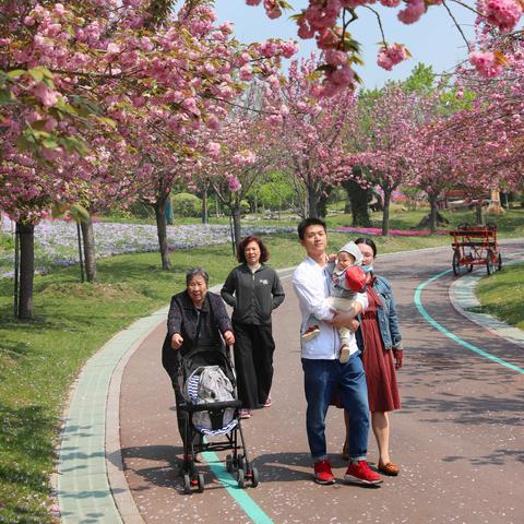 南通洲际绿博园介绍相关长尾关键词有哪些