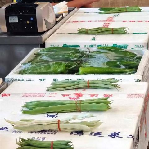 临沂市兰陵县支援上海的长尾关键词有哪些