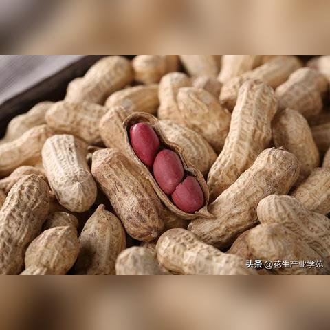 长沙到辽宁多少公里相关长尾关键词有哪些