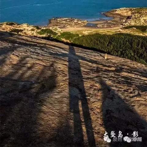 投资别炒“谐音梗”