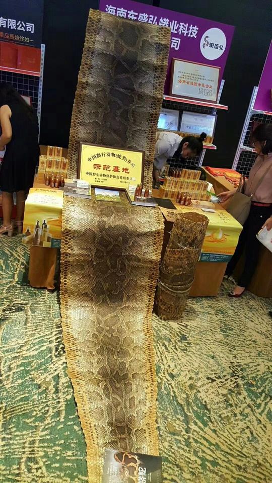 海南农业创业丨它的冷血，成就了海南大蟒！