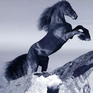 那年生的生肖马运势好(哪年出生的马运气最好)