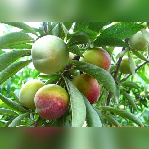 葫芦岛气温是多少的长尾关键词有什么