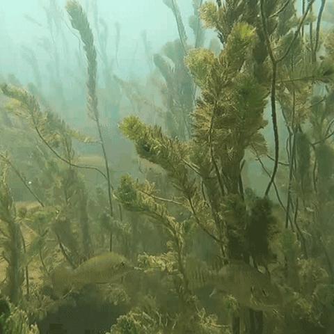 桂林市最近的瀑布在哪里
