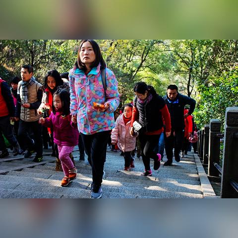 上海元旦跨年有哪些活动