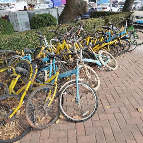 东莞市单车馆有哪些