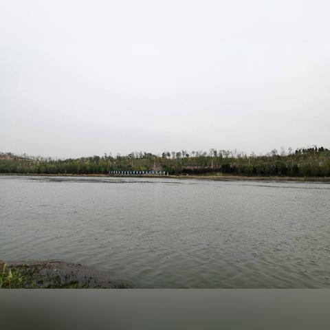 河南大雨洛阳怎么样