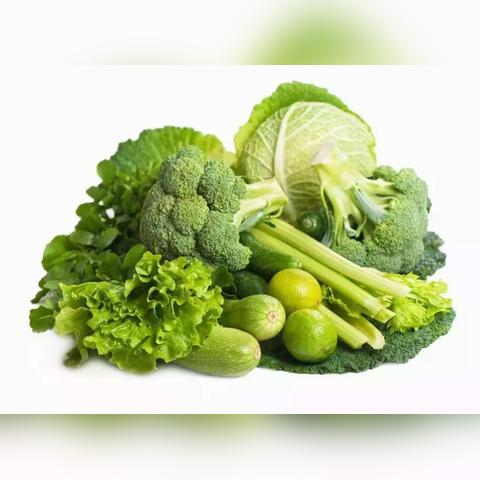 【河南今日菜价】2025年5月16日河南菜价是多少