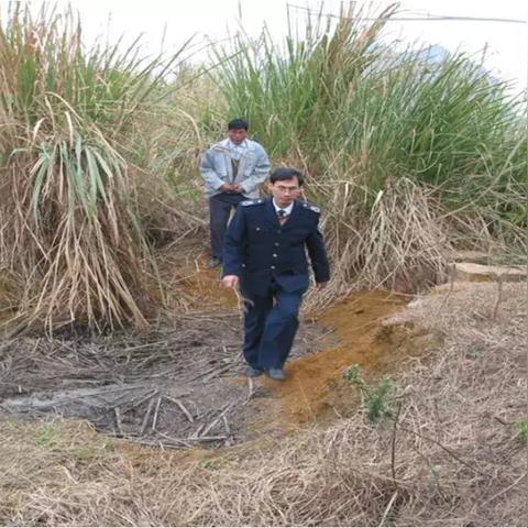 南宁哪个区的公务员的相关长尾关键词有哪些