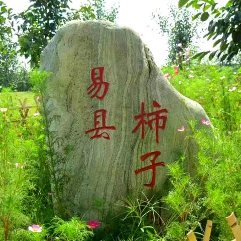 保定市农业局在哪里位置