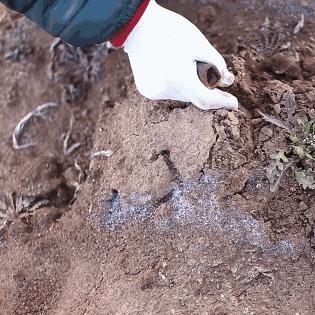石家庄市哪里回收黄金