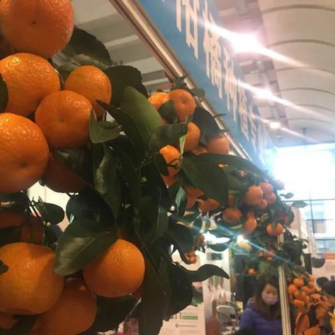 南宁水果保鲜柜的相关长尾关键词有哪些