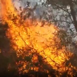 兰州安宁五十七中的相关长尾关键词有哪些