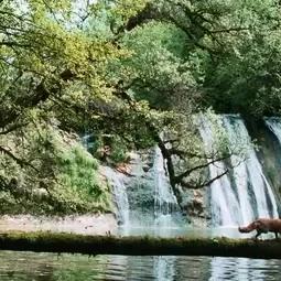 什么是冬眠电影