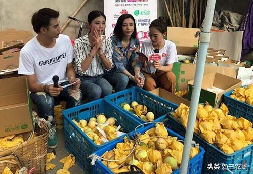 农民青年回乡创业，这七个点子能发财致富