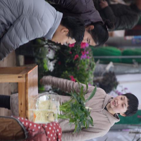 石家庄市哪里卖活鱼虫药