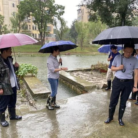 苏州市临湖镇在什么地方