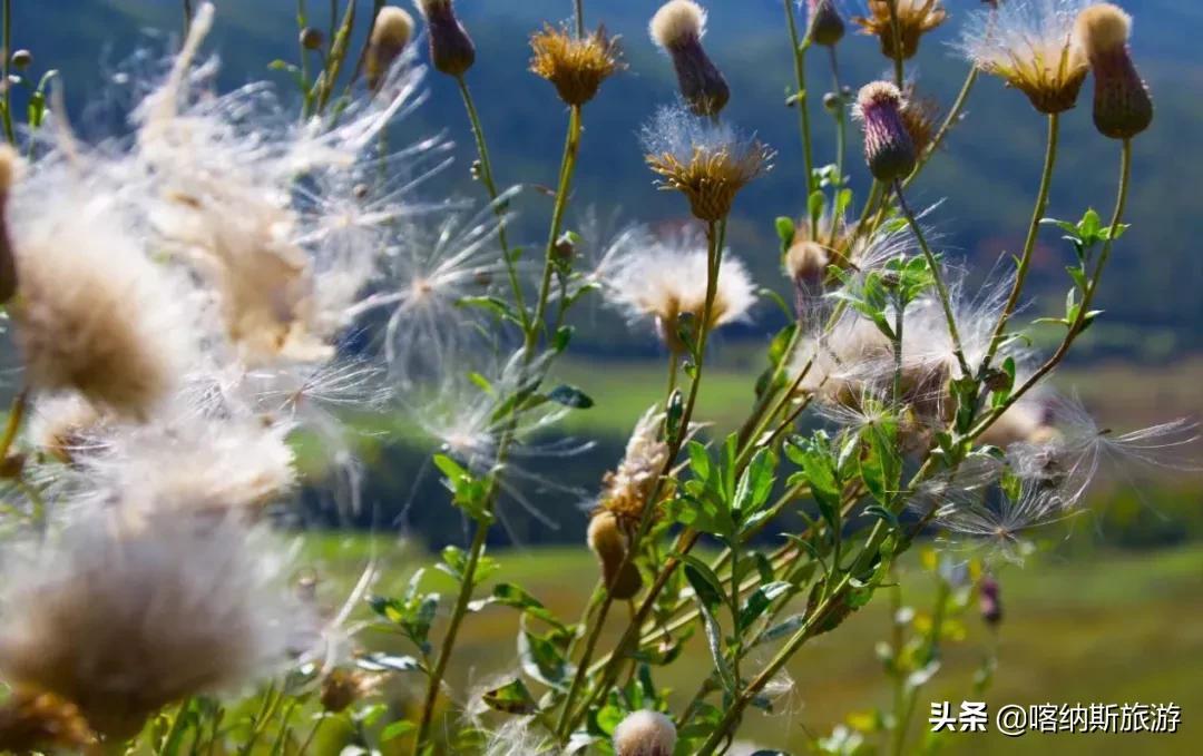 【放假安排2021年中秋放假安排日历
/放假时间2021中秋】 【放假安排2021年中秋放假安排日历
/放假时间2021中秋】