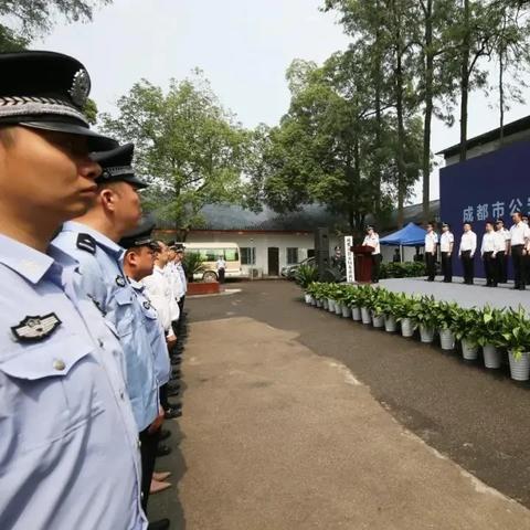成都市东部新区新房房价的长尾关键词有哪些