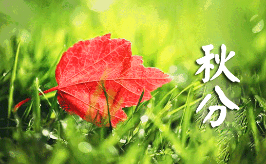 2020秋分节气早安心语发朋友圈带图说说