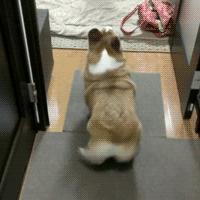 ai人工智能让人更烦恼的相关长尾关键词有哪些