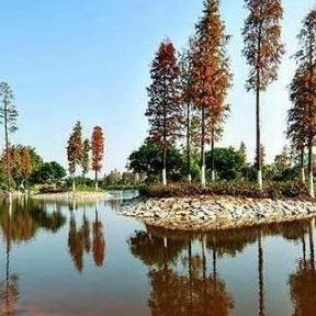广州小洲村景点介绍？