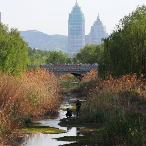 济南市又叫什么