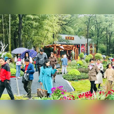 长沙市哪个花卉大市场大