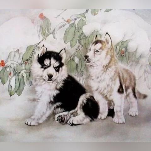 生肖运势什么时候脱单(十二生肖什么时候走桃花运)