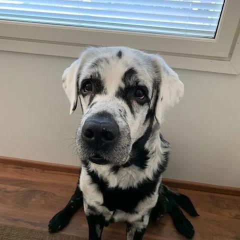 facebook大黑账号从哪里获取 相关的长尾关键词是那些 