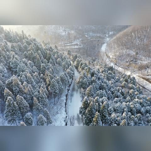 济南上次下雪什么时候？