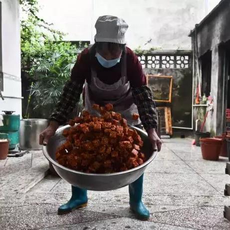 桂林适合种的豆子有哪些相关长尾关键词有哪些