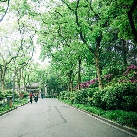 湖南长沙市有什么山