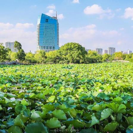 无锡市定居怎么样