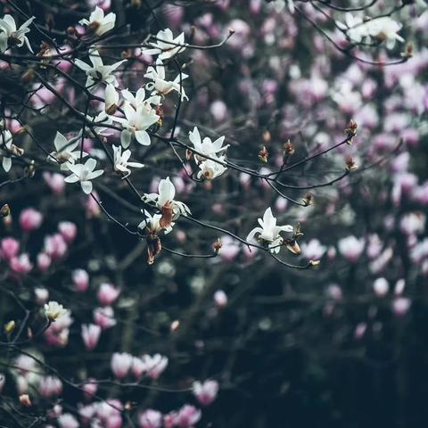 游戏机桂林市哪里有卖