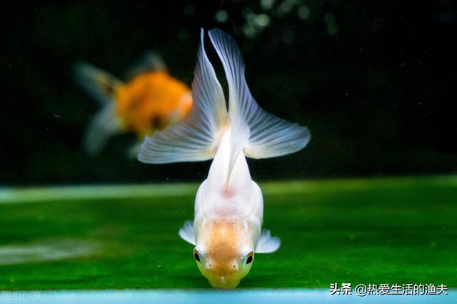 宝宝食量增长快