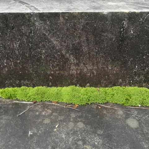 济南公墓墓地价格表相关长尾关键词有哪些