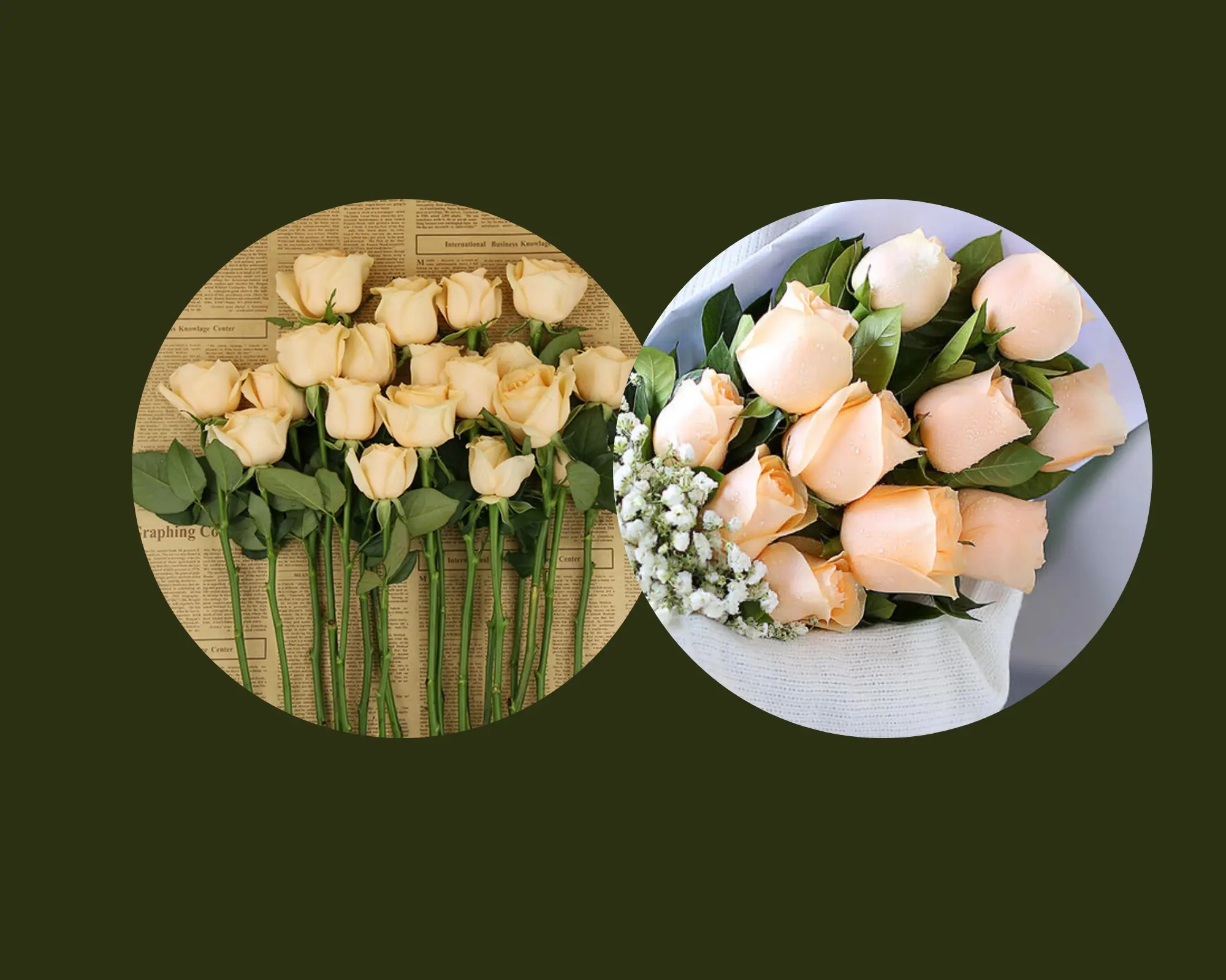 白玫瑰的花语是什么意思