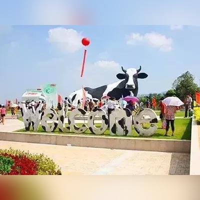光明区在深圳市哪个区