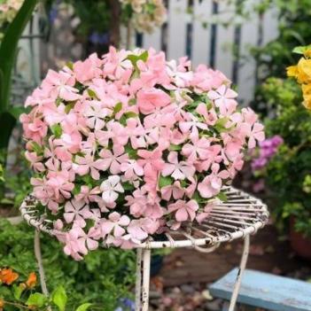 长春市四季中央二手房的长尾关键词有什么