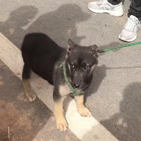 河南女生打工怎么样