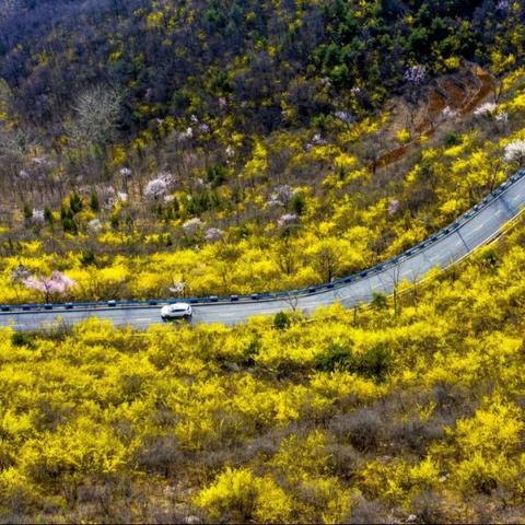 盘山门票(盘山门票多少钱一位)